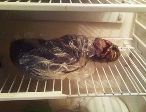 Refrigerated Alien of the Day