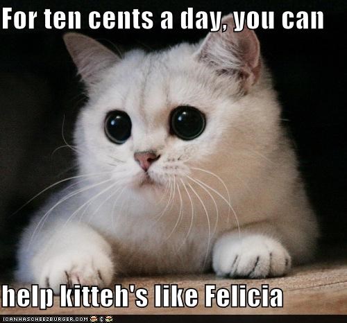 For ten cents a day,