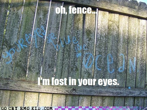 My Fence's Eyes are Bluer than the Ocean