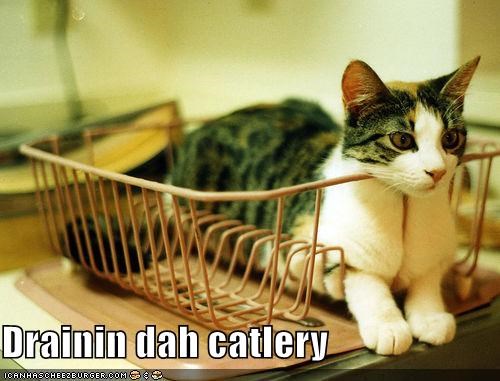 Drainin dah catlery