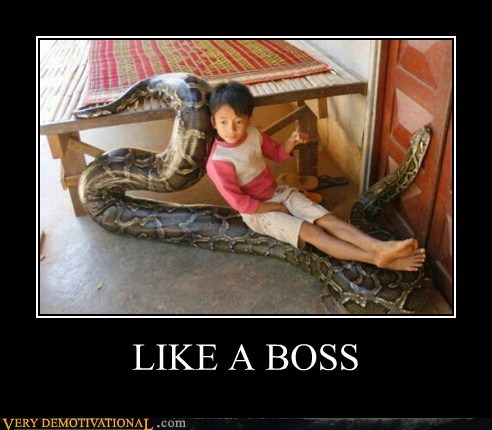 LIKE A BOSS