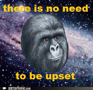Heed the Advice of Space Gorilla