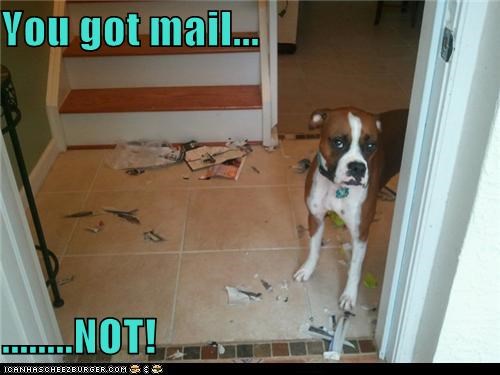 You got mail...  ........NOT!