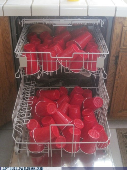 Party Dishwasher In The House Tonight