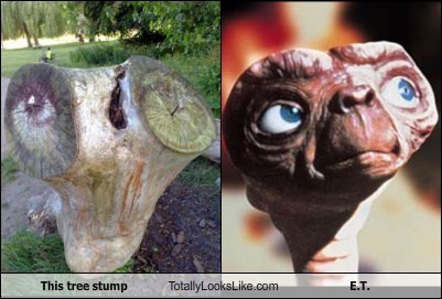 This Tree Stump Totally Looks Like E.T.