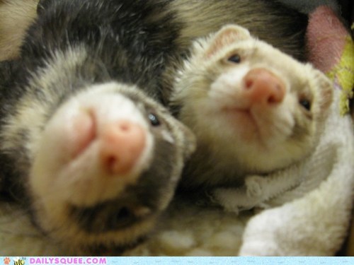 Two best friends :)