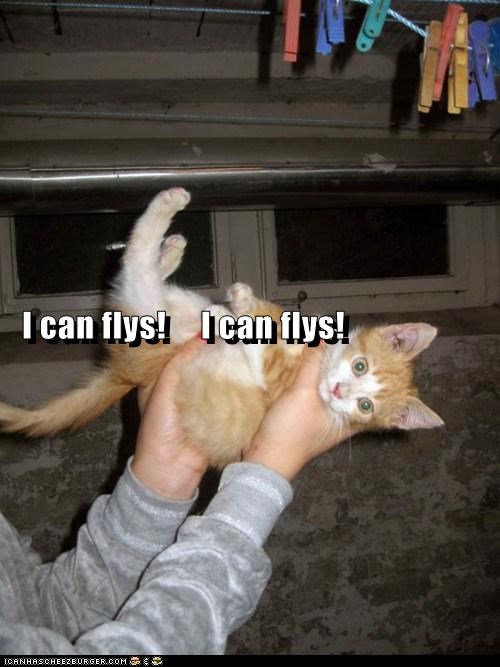 I can flys!     I can flys!