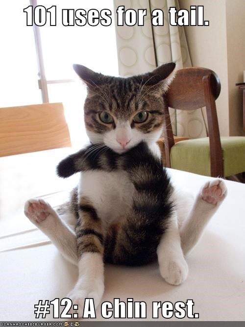 101 uses for a tail.  #12: A chin rest.