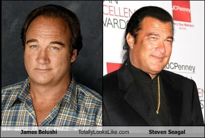 James Belushi Totally Looks Like Steven Seagal