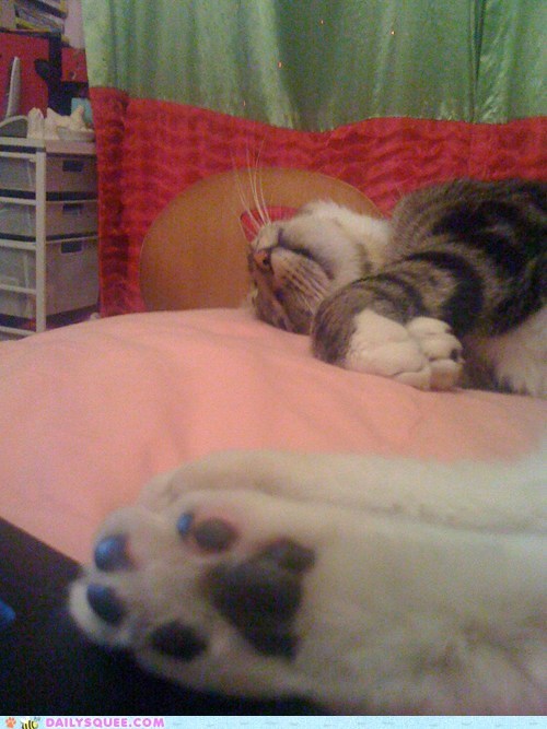Jelly Bean Toes!