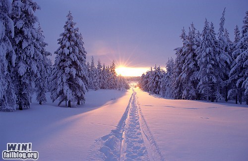 Mother Nature FTW: Make a Trail