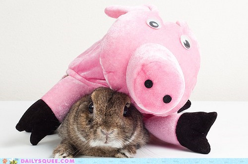 Acting Like Animals: This Little Piggy's WAY TOO HEAVY!