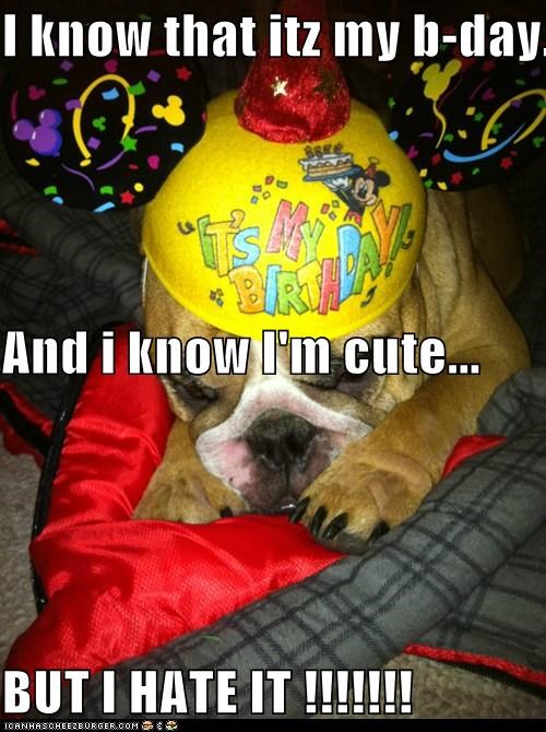 I know that itz my b-day... And i know I'm cute... BUT I HATE IT !!!!!!!