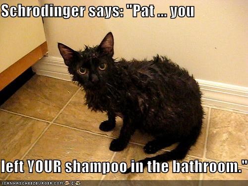 Schrodinger says: "Pat ... you  left YOUR shampoo in the bathroom."