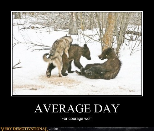 AVERAGE DAY