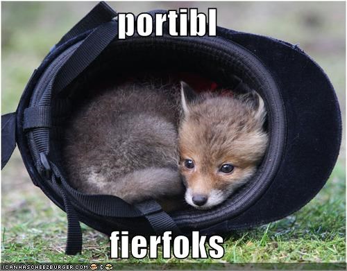 portibl  fierfoks
