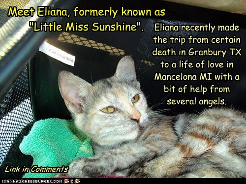 Eliana Goes Home
