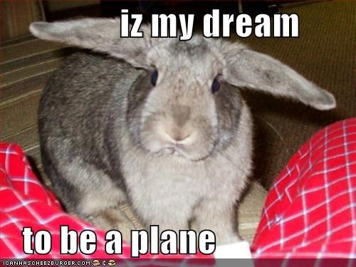iz my dream