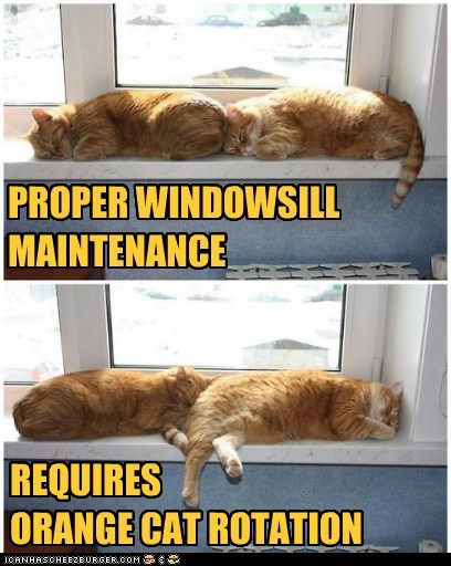 PROPER WINDOWSILL MAINTENANCE