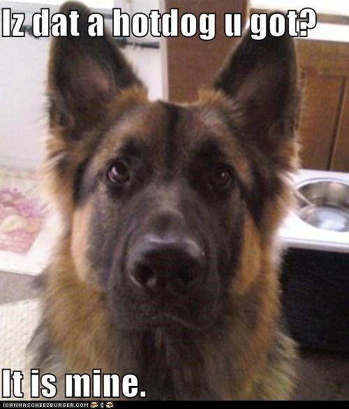 Iz dat a hotdog u got?  It is mine.