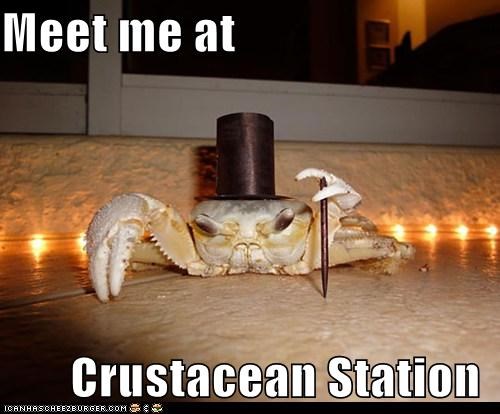 Meet me at         Crustacean Station