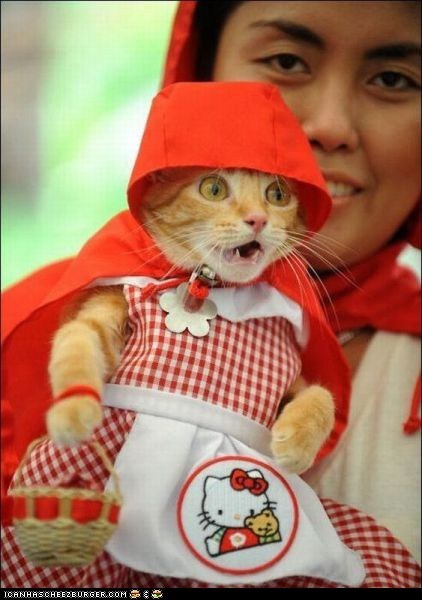 Cyoot Kitteh of teh Day: Kitteh Red Riding Hood