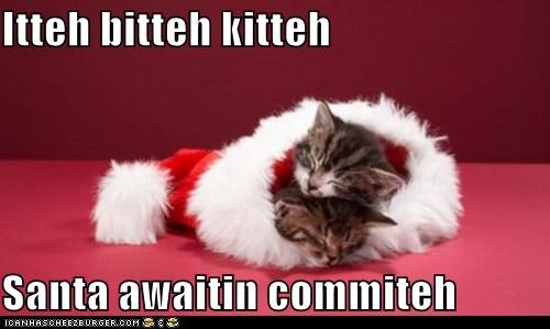 Itteh bitteh kitteh