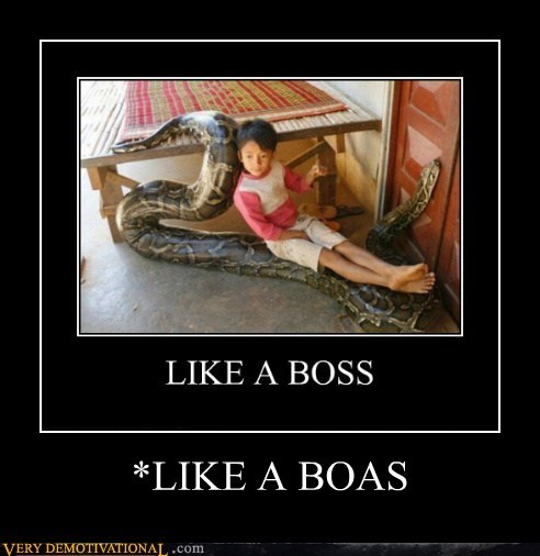 *LIKE A BOAS