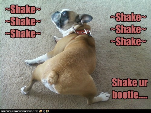 Shake... Shake... Shake...