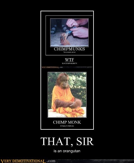 THAT, SIR