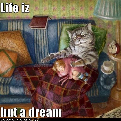 Life iz   but a dream