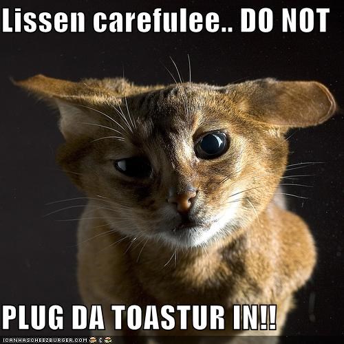 Lissen carefulee.. DO NOT  PLUG DA TOASTUR IN!!