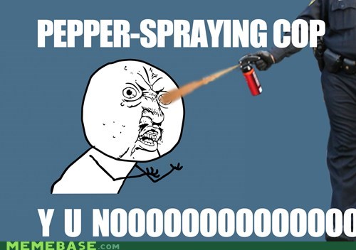 Pepper-Spraying Cop . . . Y U NOOOOOO