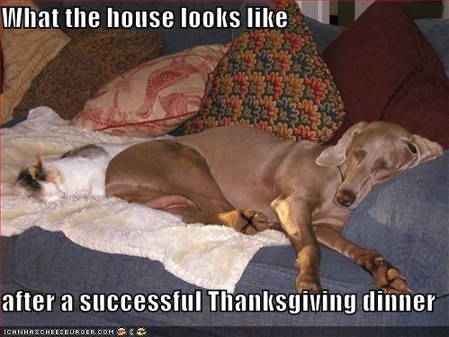 What the house looks like
