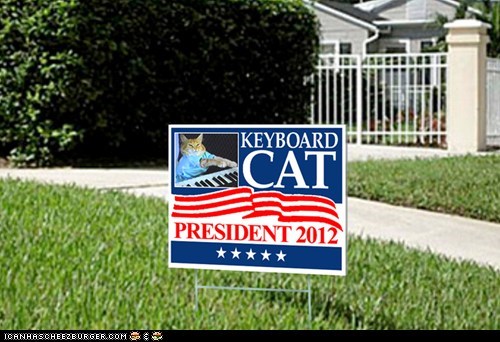 Keyboard Cat for President!