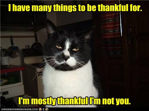 I have many things to be thankful for.