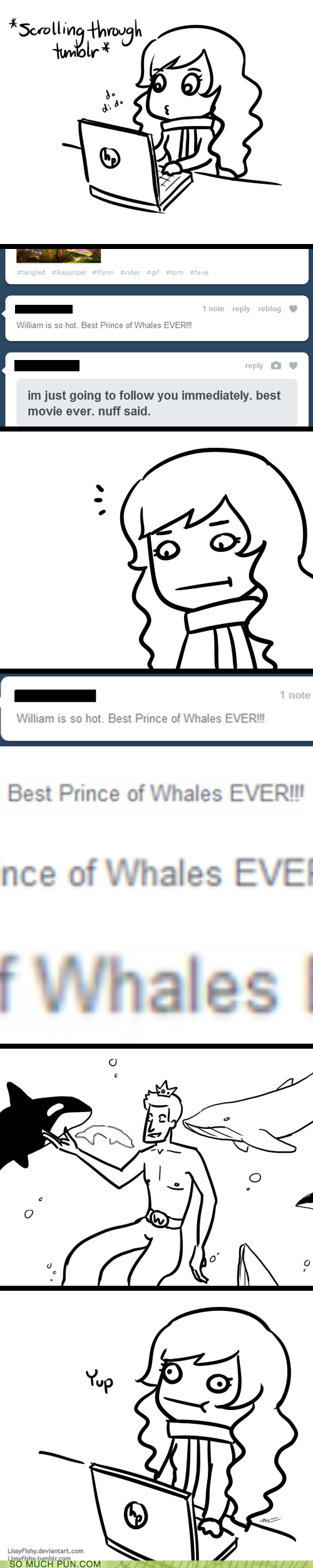 This is Tumblr in a Nutshell