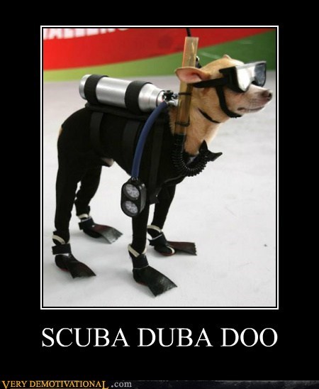 SCUBA DUBA DOO