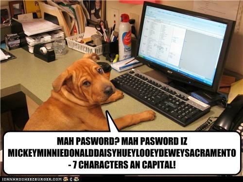 What is your password?