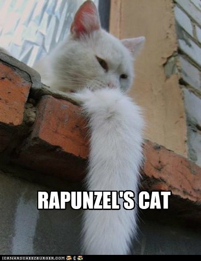 RAPUNZEL'S CAT