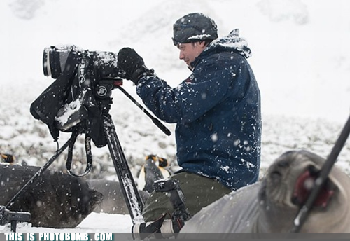 Camera's Greatest Weakness - Nature