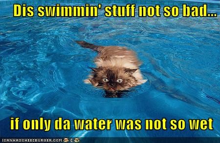 Dis swimmin' stuff not so bad...     if only da water was not so wet