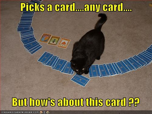 Picks a card....