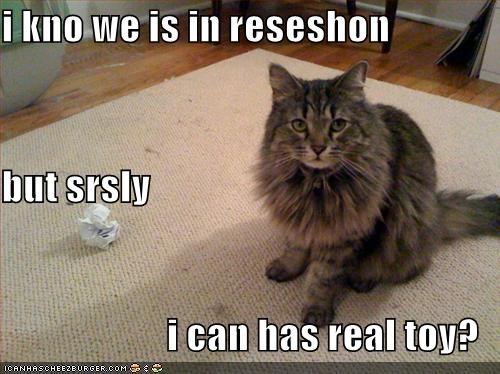 i kno we is in reseshon but srsly i can has real toy?