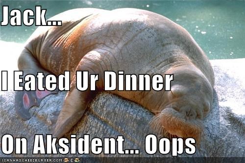 Jack... I Eated Ur Dinner On Aksident... Oops