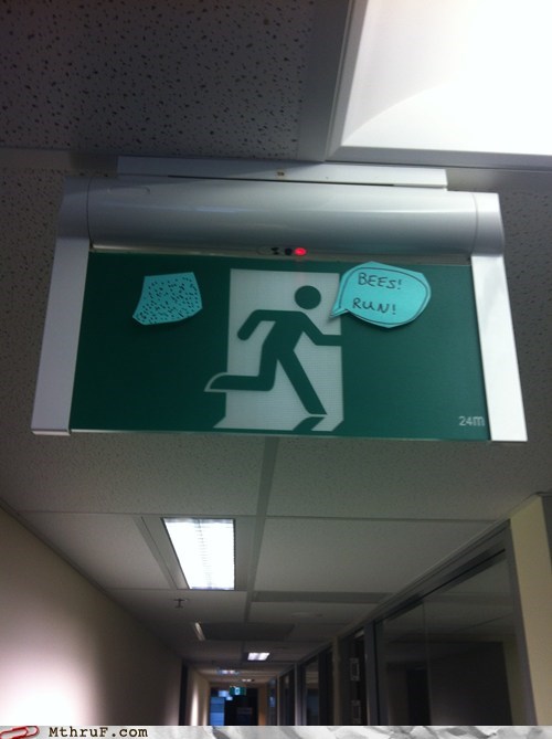 Everybody down! The office beehive has been disturbed!