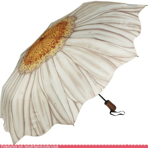 White Daisy Folding Umbrella