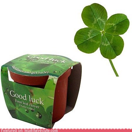 Four-Leaf Clover Planting Kit