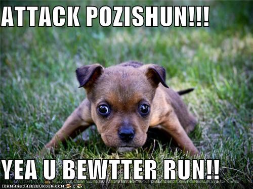 ATTACK POZISHUN!!!  YEA U BEWTTER RUN!!