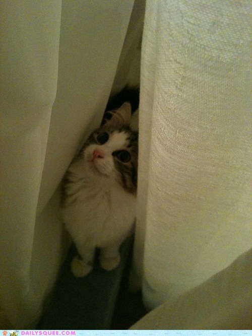 Shower Spelunking